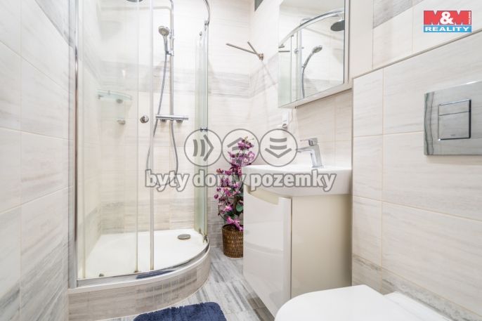 Prodej, Byt 1+1, Zliv