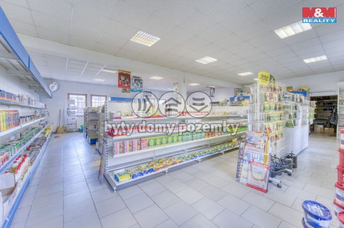 Pronájem, Obchod a služby, Bor