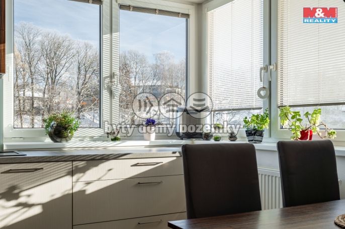 Prodej, Byt 3+kk, Jihlava