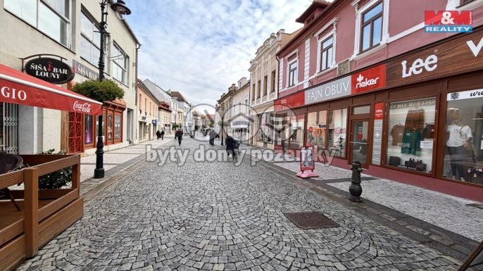 Pronájem, Obchod a služby, Louny