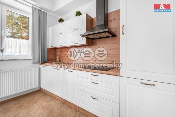 Prodej, Hotel, penzion, Borušov