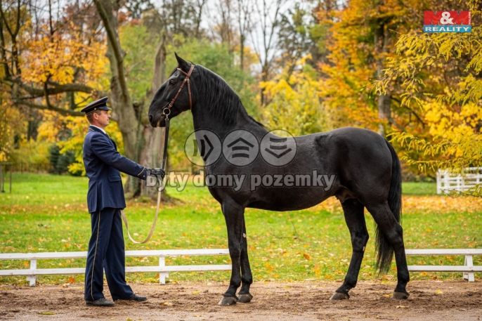 Prodej, Chata, Slatiňany