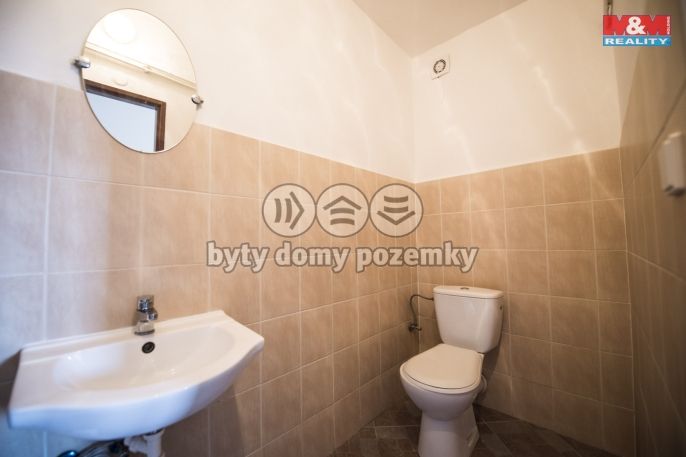 Pronájem, Byt 3+1, Nechanice