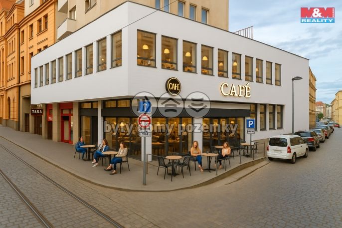 Pronájem, Restaurace, stravování, Plzeň