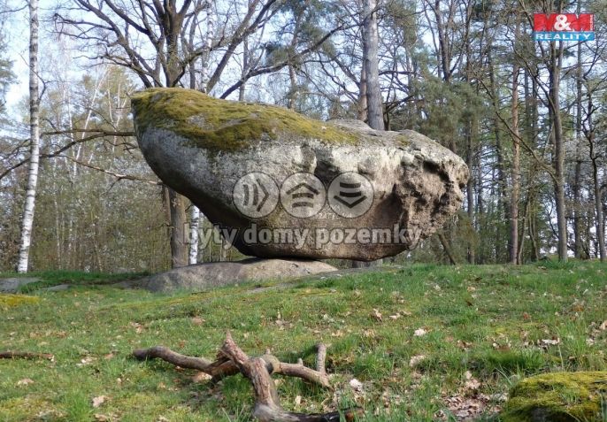 Prodej, Les, Petrovice