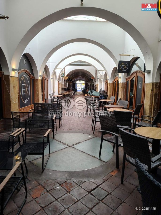 Pronájem, Ostatní, Olomouc