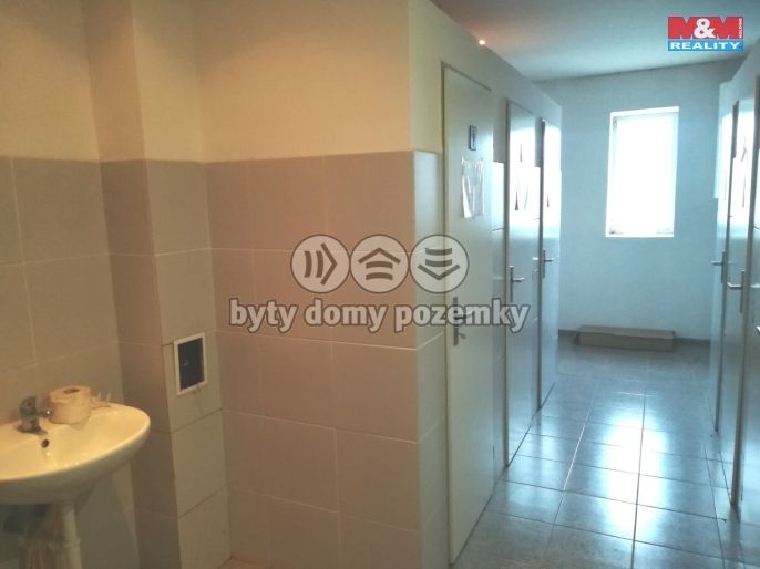 Pronájem, Ostatní, Strančice