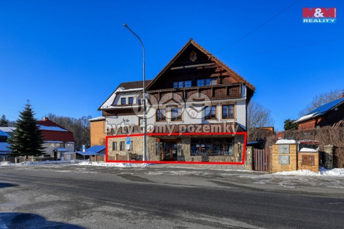 Pronájem, Obchod a služby, Železná Ruda