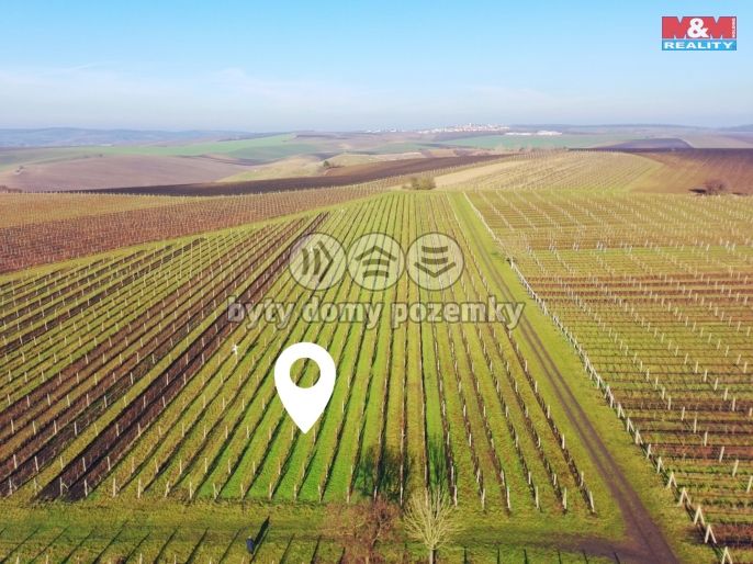 Prodej, Vinice, Velké Bílovice