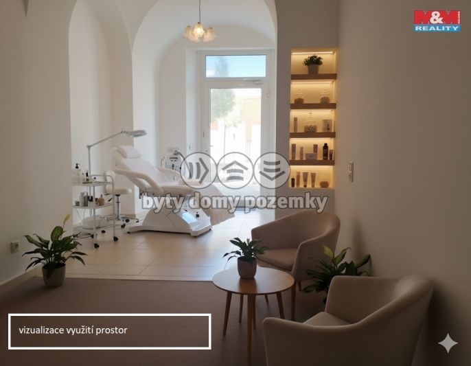 Pronájem, Obchod a služby, Přelouč