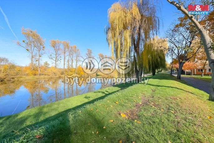 Prodej, Byt 1+1, Napajedla