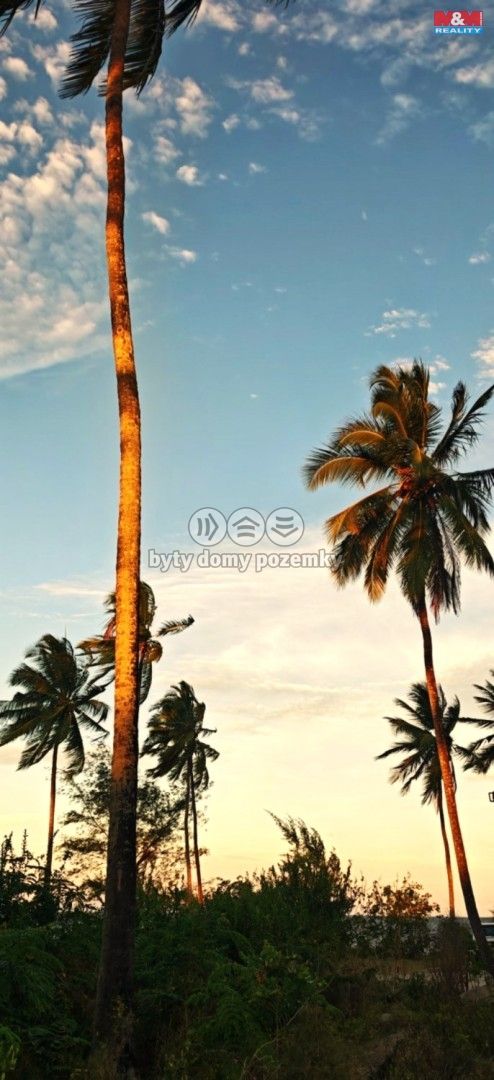 Prodej, Rodinný dům, Ostrov