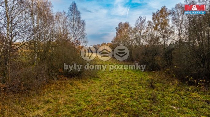 Prodej, Louka, Česká Lípa