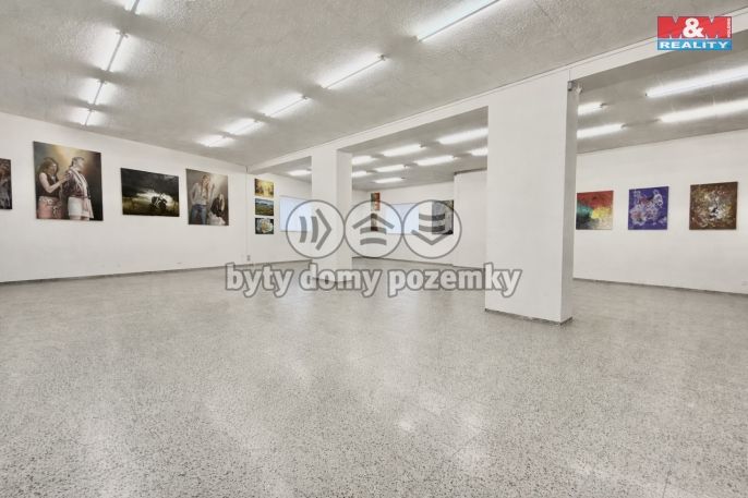 Pronájem, Obchod a služby, Louny