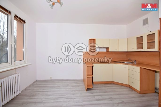 Pronájem, Byt 1+1, Děčín