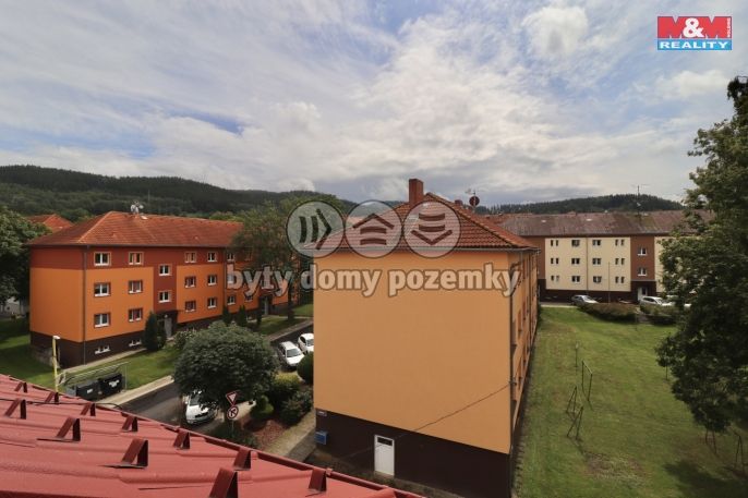 Prodej, Byt 1+1, Březová