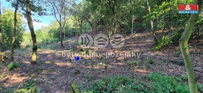 Prodej, Pozemek k bydlení, Bílina