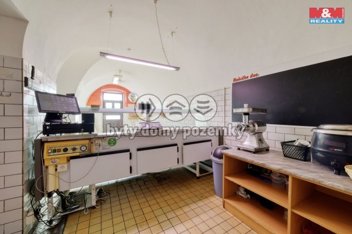 Pronájem, Obchod a služby, Planá