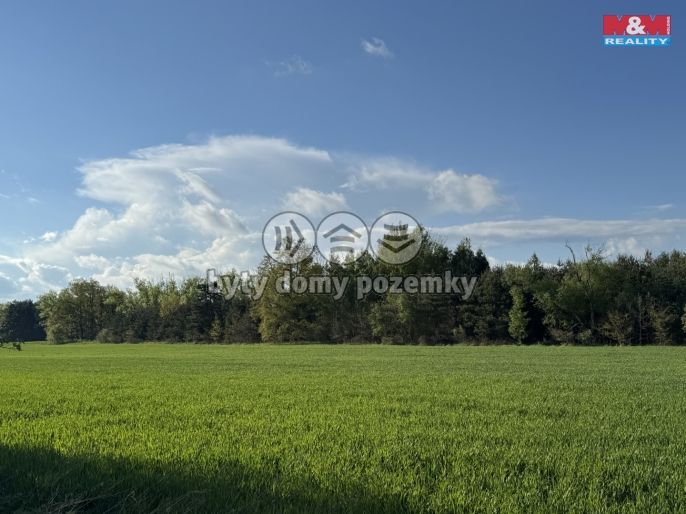 Prodej, Komerční pozemky, Homole