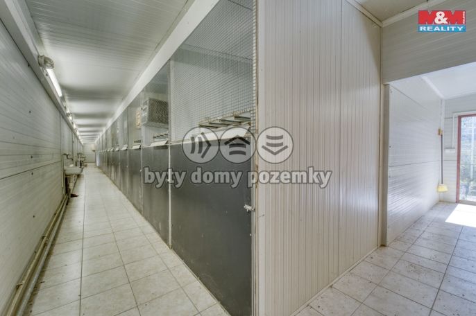 Prodej, Výrobní objekt, Lhůta