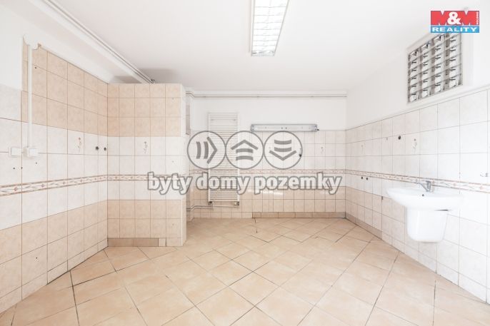 Prodej, Obchodní objekt, Velká nad Veličkou
