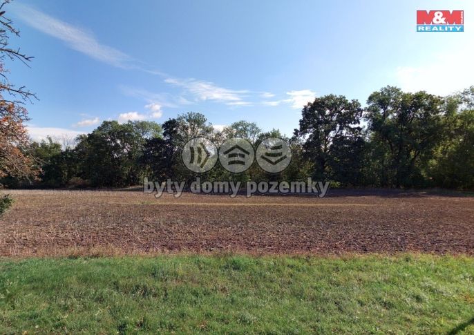 Prodej, Pole, Bratčice