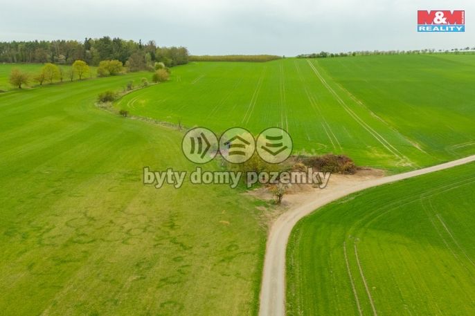 Prodej, Louka, Olešnice