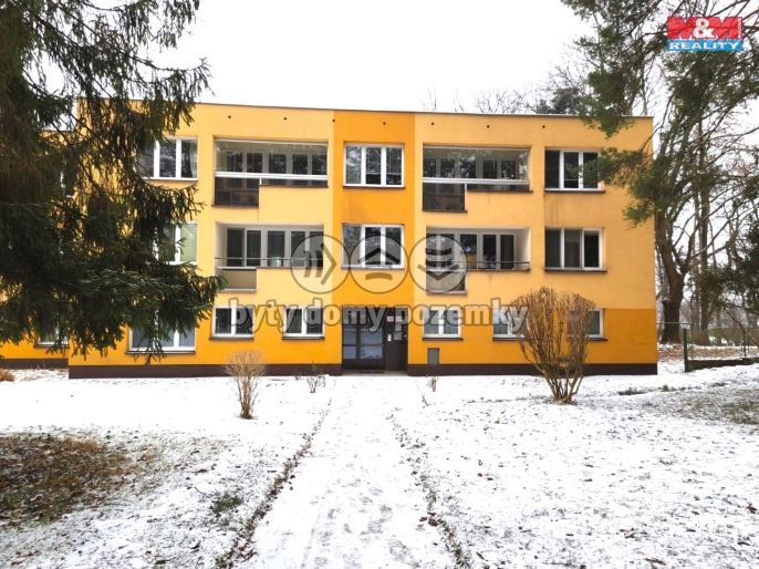 Pronájem, Byt 1+1, Havířov