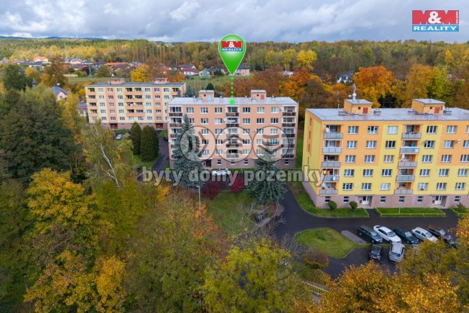 Prodej, Byt 1+1, Svatava