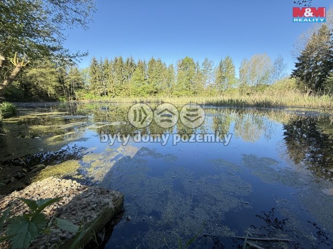 Prodej, Vodní plocha, Rychnov nad Kněžnou