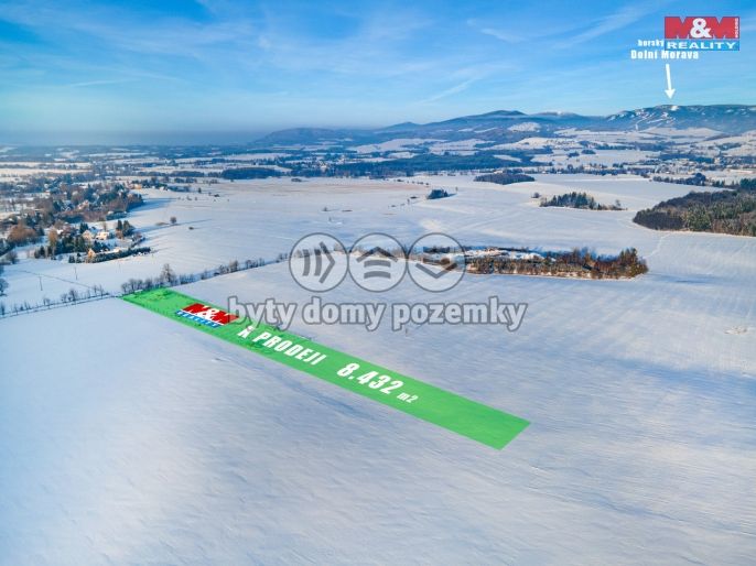 Prodej, Louka, Králíky