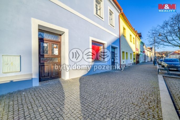 Pronájem, Obchod a služby, Planá