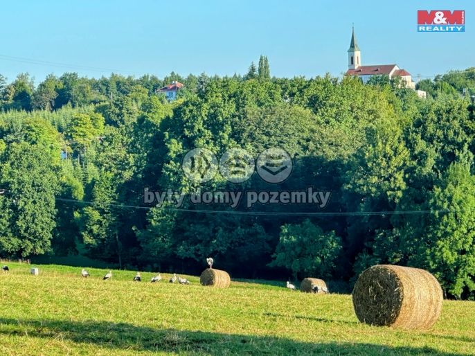 Prodej, Rodinný dům, Těrlicko