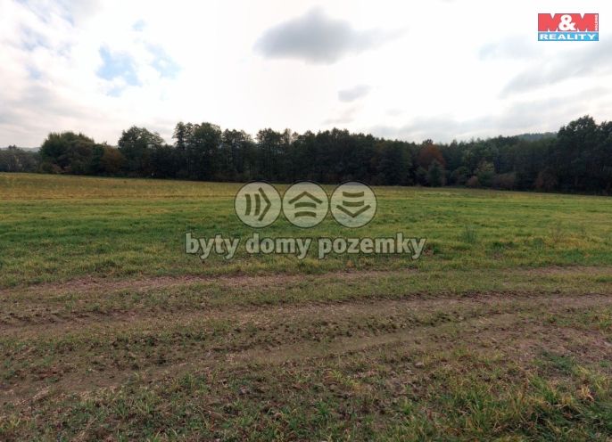 Prodej, Louka, Petrovice