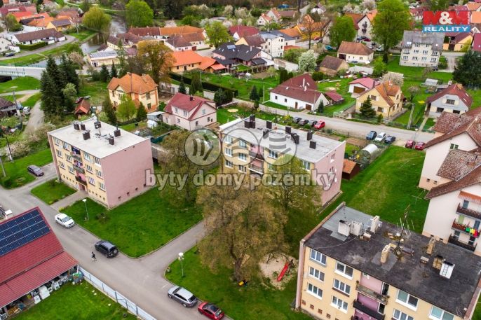 Prodej, Byt 2+1, Strunkovice nad Blanicí
