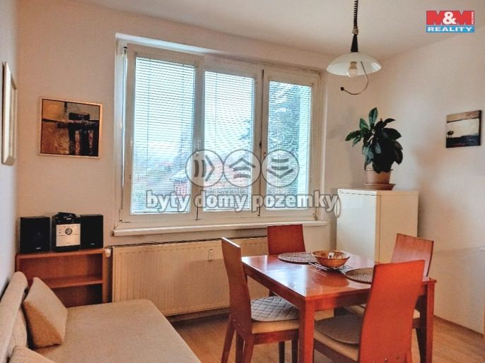 Pronájem, Byt 1+1, Ostrov