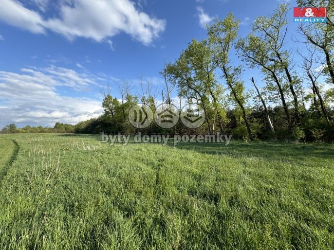 Prodej, Komerční pozemky, Homole