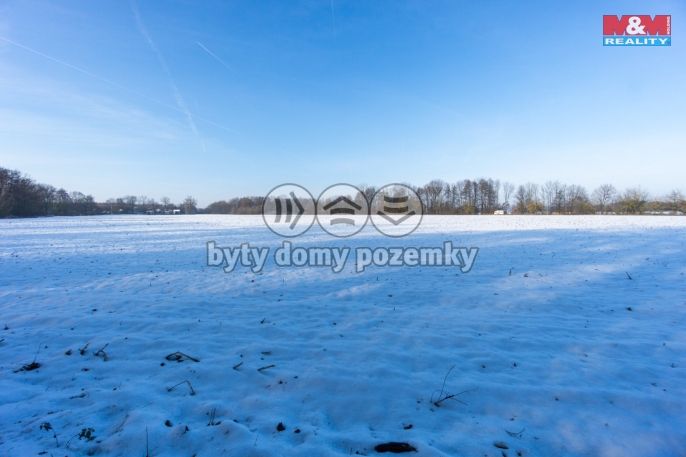 Prodej, Pole, Pardubice