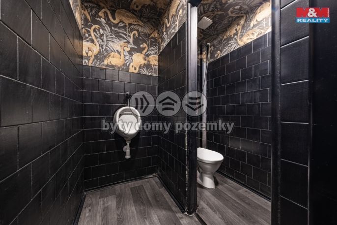 Pronájem, Restaurace, stravování, Benešov