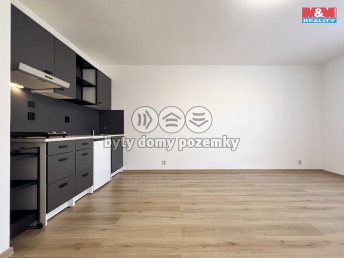 Pronájem, Byt 1+kk, Hostivice