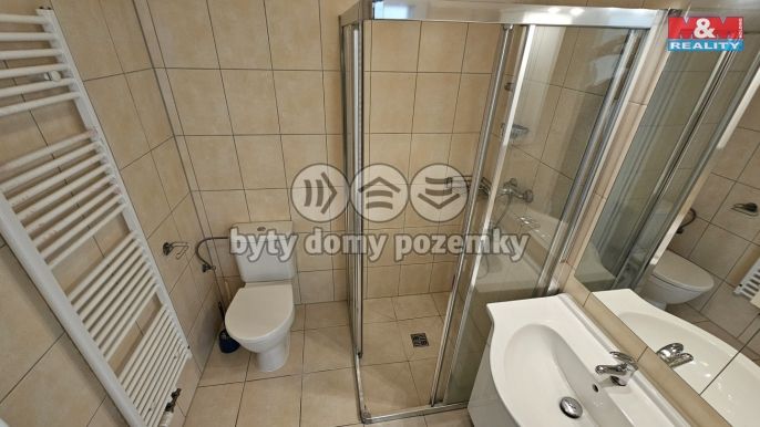 Pronájem, Byt 1+kk, Plzeň
