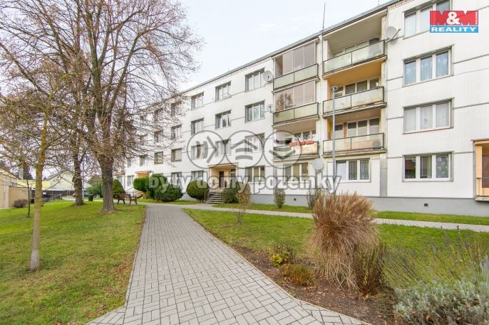 Prodej, Byt 3+1, Bor