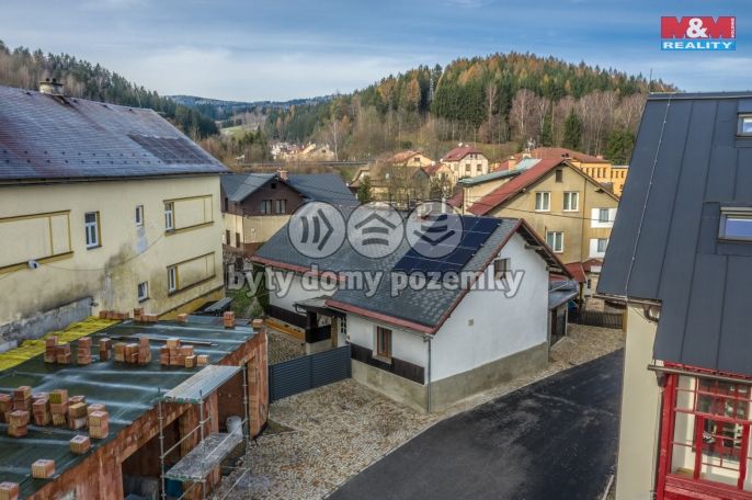 Prodej, Rodinný dům, Plavy