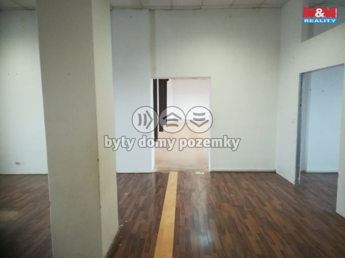 Pronájem, Ostatní, Strančice