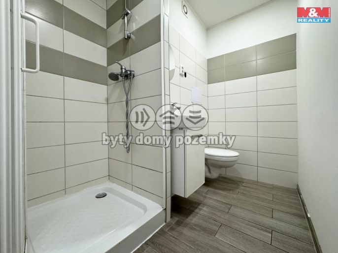 Pronájem, Byt 1+1, Horní Slavkov