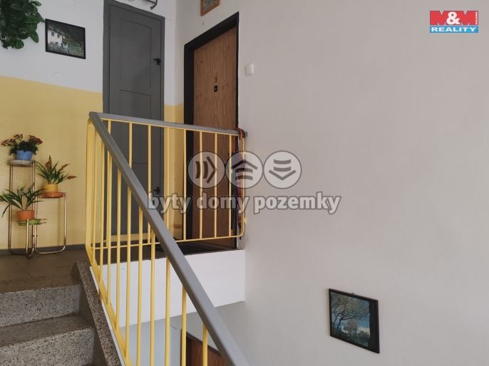 Pronájem, Byt 2+1, Nová Role