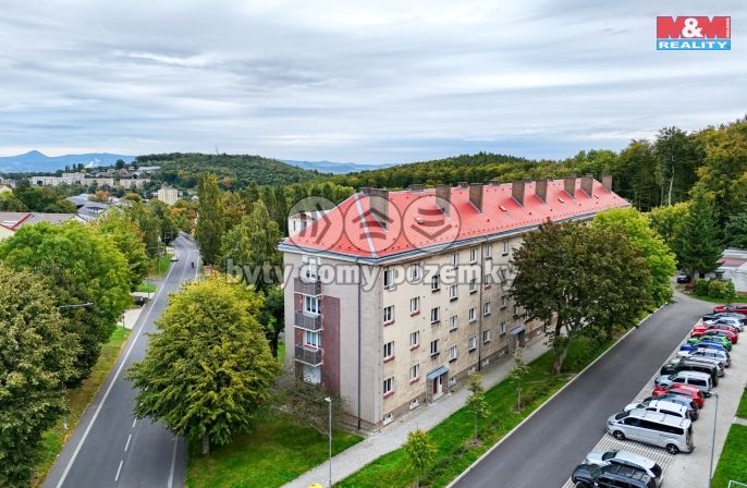 Prodej, Byt 2+1, Meziboří