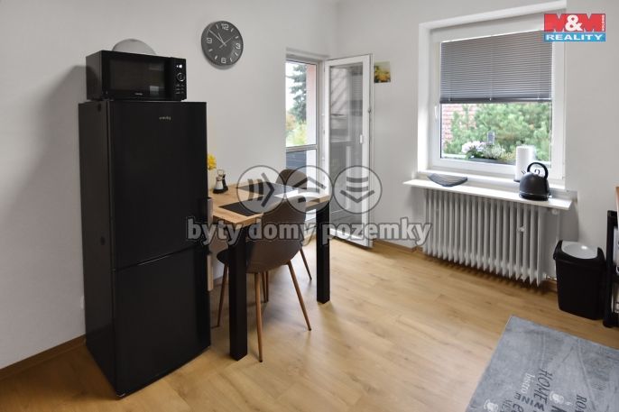 Pronájem, Byt 1+kk, Plazy