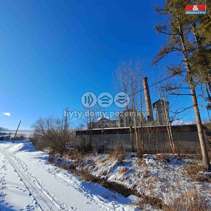 Prodej, Výrobní objekt, Ryžoviště