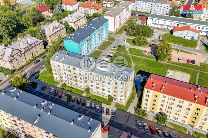 Prodej, Byt 2+1, Cheb